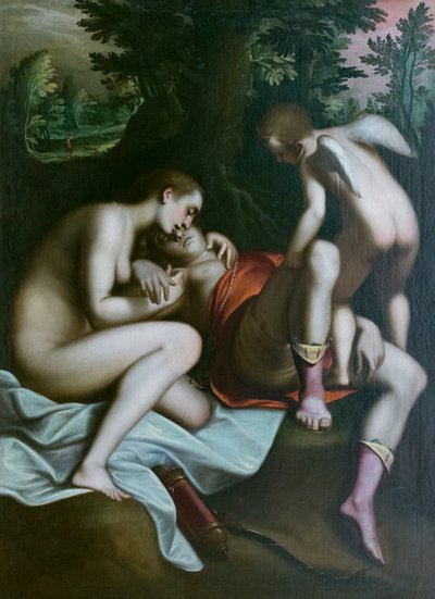La morte di Adone, prima del 1585, Luca Cambiaso da Luca Cambiaso