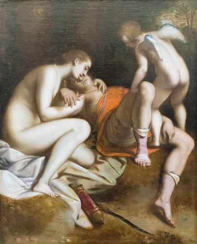 Venere piange la morte di Adone da Luca Cambiaso