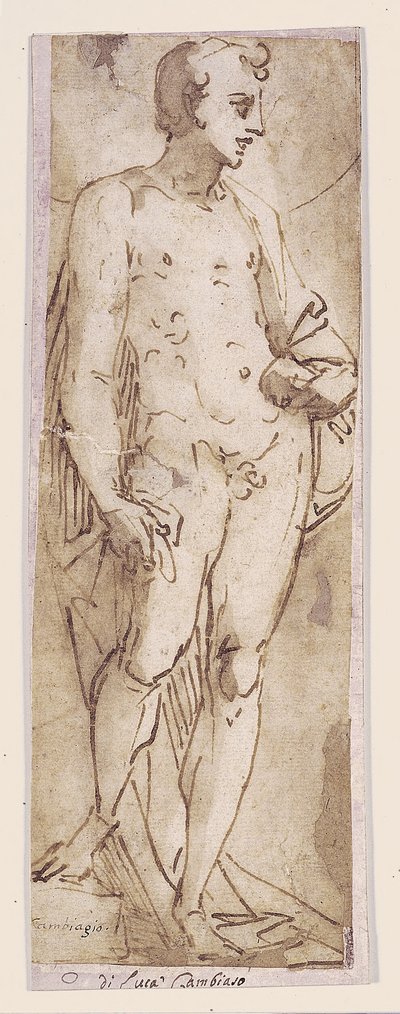 Giovane con mantello in piedi in una nicchia da Luca Cambiaso