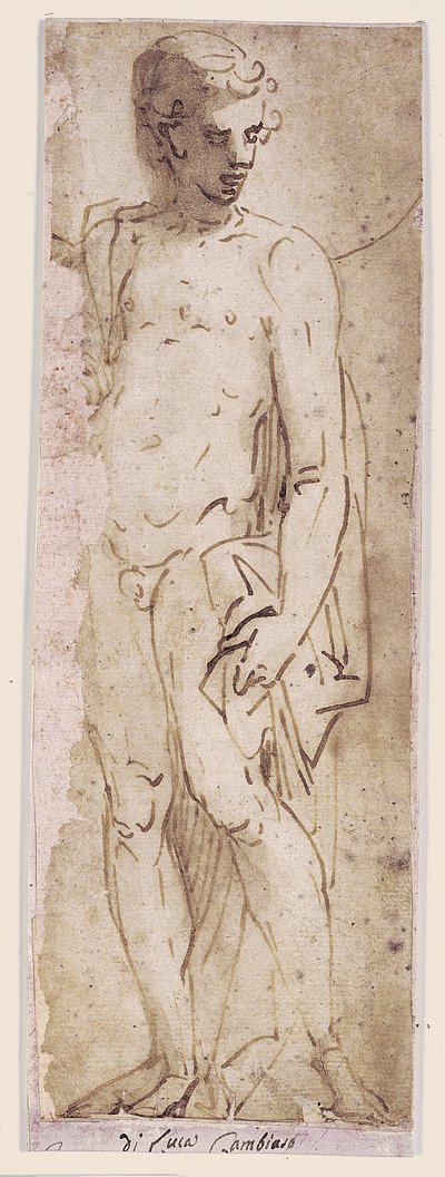 Giovane con Mantello in Piedi in una Nicchia da Luca Cambiaso
