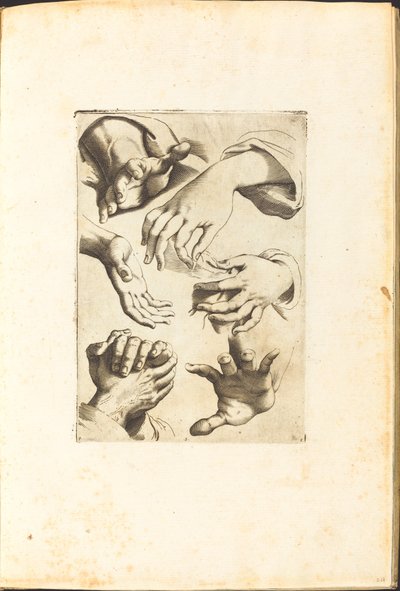 Stampa dal libro di disegni da Luca Ciamberlano