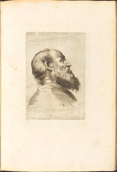 Stampa dal libro di disegni da Luca Ciamberlano