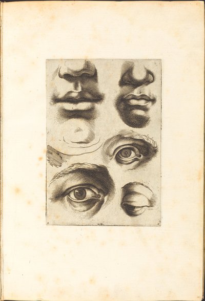 Stampa dal libro di disegni da Luca Ciamberlano