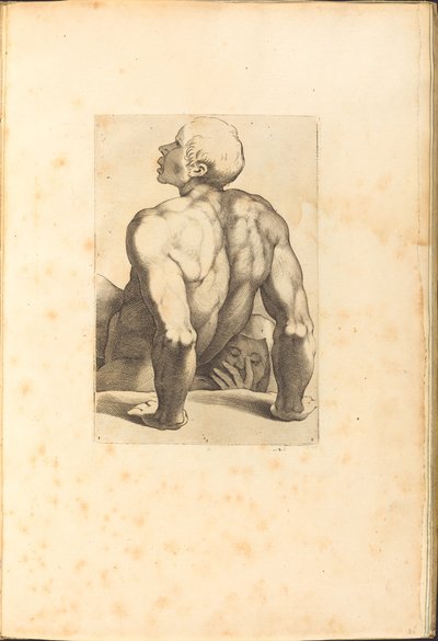 Stampa dal libro di disegni da Luca Ciamberlano
