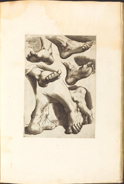 Stampa dal libro di disegni da Luca Ciamberlano
