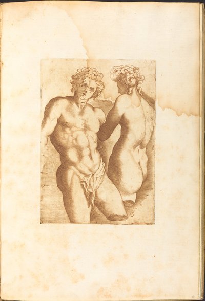 Stampa da libro di disegni da Luca Ciamberlano