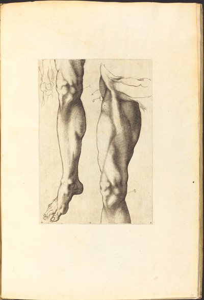Stampa dal libro di disegni da Luca Ciamberlano