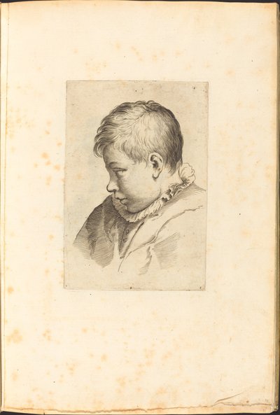 Stampa dal Libro di Disegni da Luca Ciamberlano