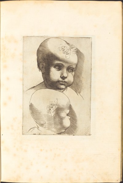 Stampa dal libro di disegni da Luca Ciamberlano