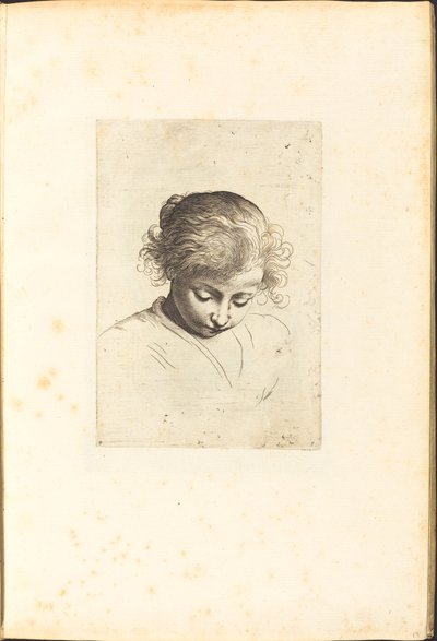 Stampa dal libro di disegni da Luca Ciamberlano