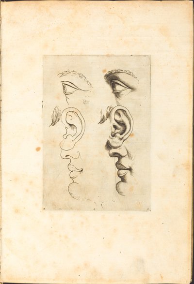 Stampa dal libro di disegni da Luca Ciamberlano