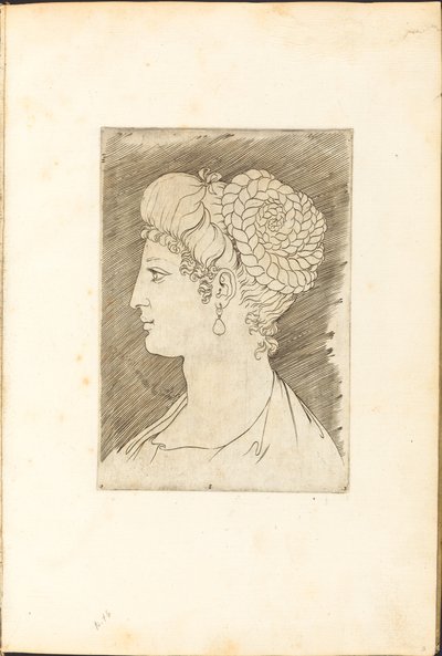 Stampa dal Libro di Disegni da Luca Ciamberlano