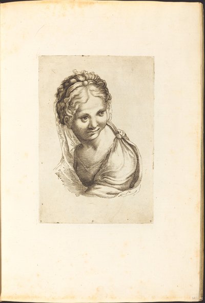 Stampa dal libro di disegni da Luca Ciamberlano