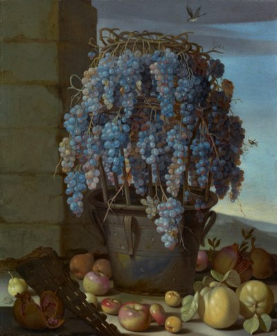 Natura morta con uva e altra frutta da Luca Forte
