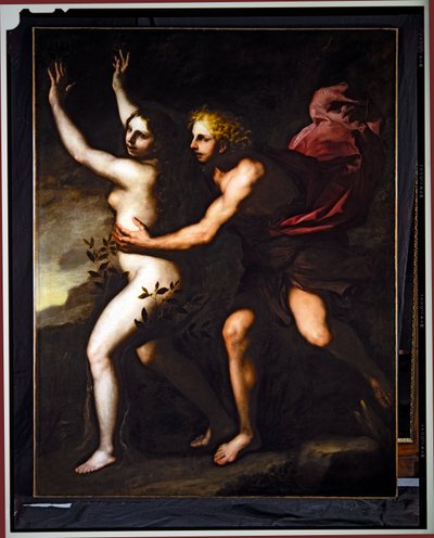 Apollo e Dafne da Luca Giordano