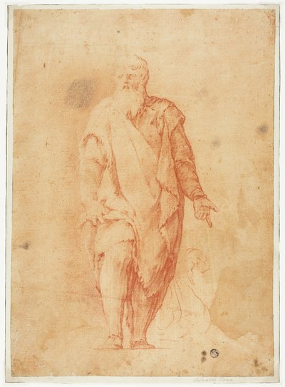 Uomo barbuto in piedi da Luca Giordano