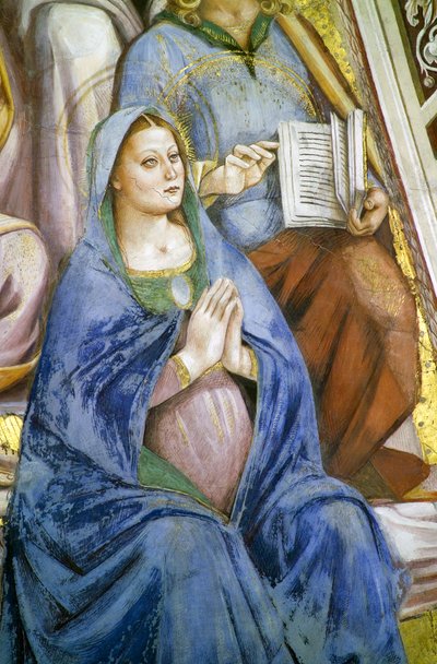 Apostoli, dettaglio della Vergine da Luca Signorelli