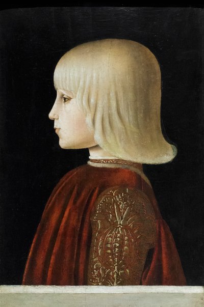 Ritratto di un giovane uomo (Guidubaldo da Montefeltro?) da Luca Signorelli
