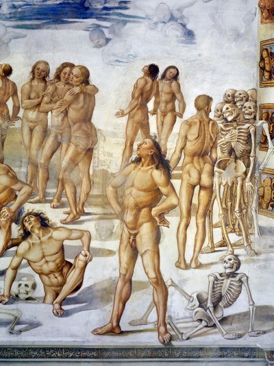 Resurrezione della carne, dal ciclo di affreschi del Giudizio Universale da Luca Signorelli