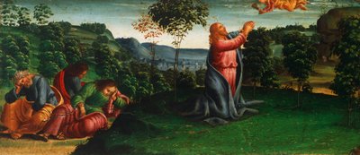 Storie di Cristo: Cristo nel Giardino del Getsemani da Luca Signorelli