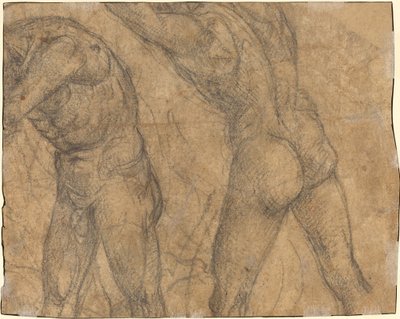 Due figure nude (verso) da Luca Signorelli