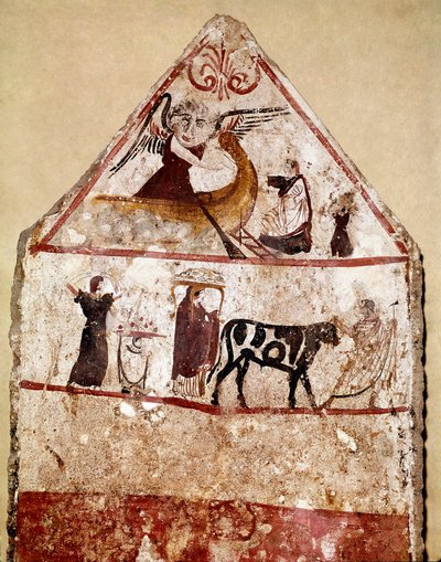Un toro conduce sull