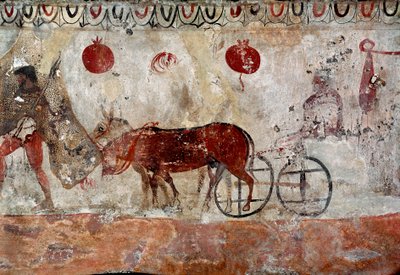 Un pastore e due asini affresco lucano del IV secolo a.C., dalla necropoli di Paestum, Italia. Museo nazionale archeologico, Paestum da Lucanian School