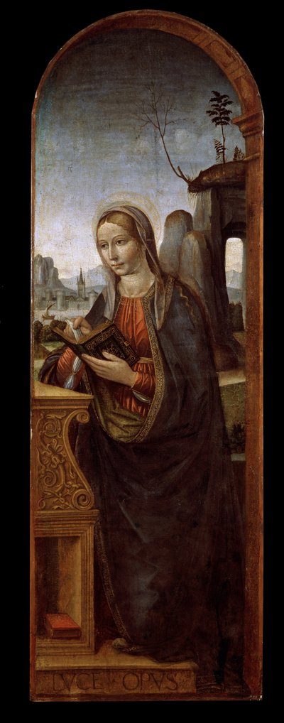 La Vergine dell