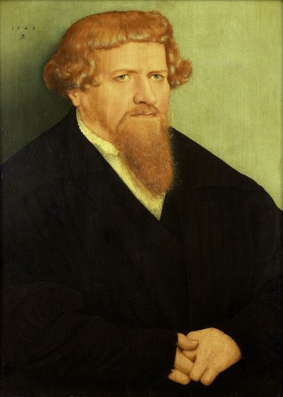 Ritratto di un uomo da Lucas Cranach (II) (attributed to)