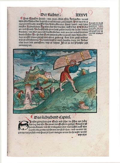 Illustrazione dall