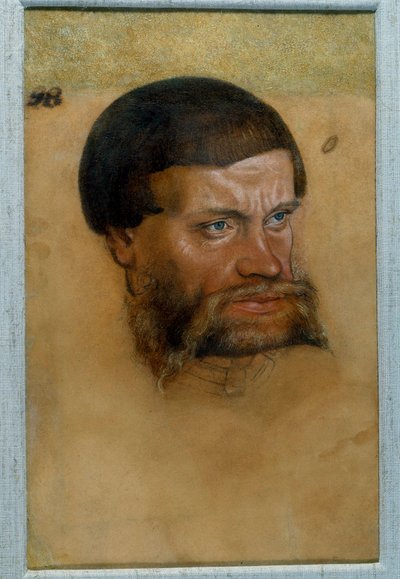 Presunto ritratto dell