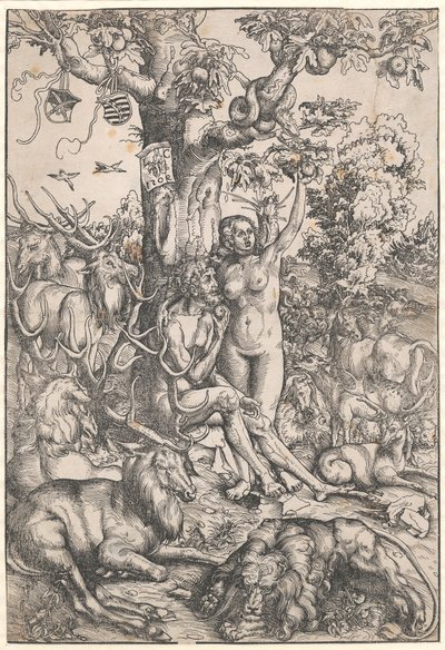 La caduta dell