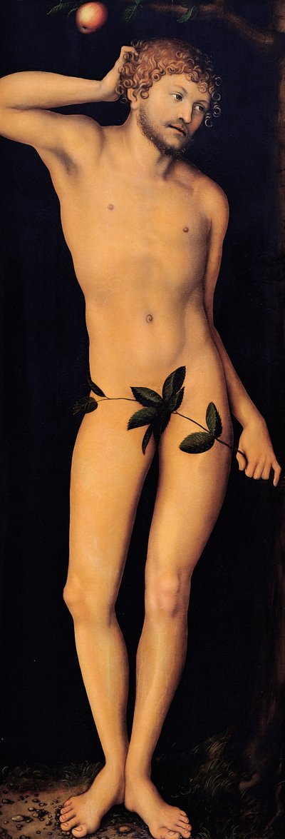 Adamo da Lucas Cranach the Elder