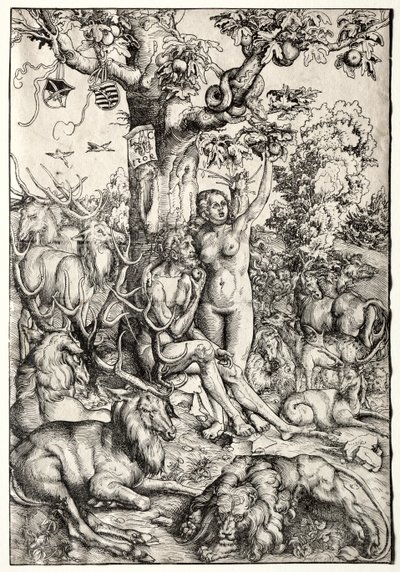 Adamo ed Eva in Paradiso, 1509 da Lucas Cranach the Elder