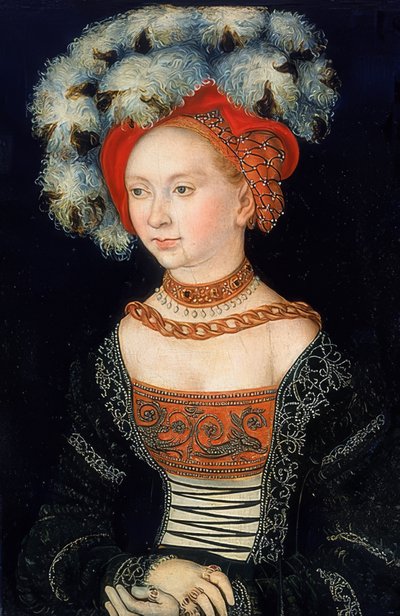 Ritratto di una dama da Lucas Cranach the Elder
