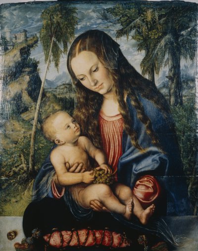 Madonna sotto l