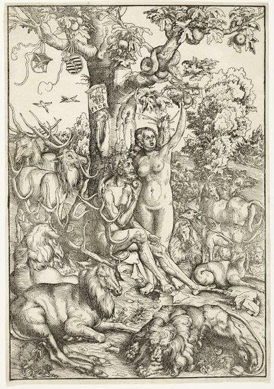 La caduta dell