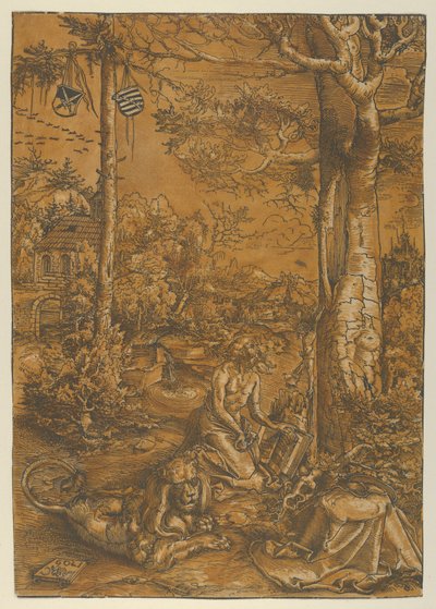 La penitenza di San Girolamo, 1509 da Lucas Cranach the Elder