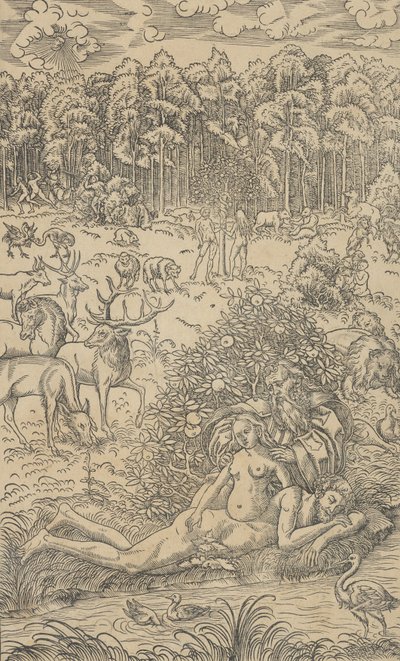 La Creazione di Eva da Lucas Cranach the Younger  