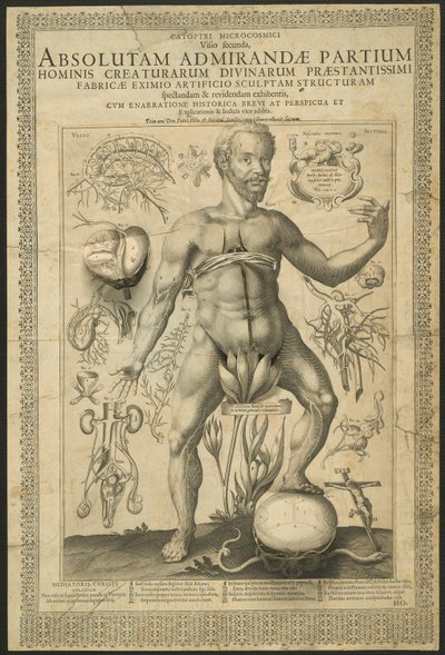 Seconda visione, da Specchi del microcosmo da Lucas Kilian