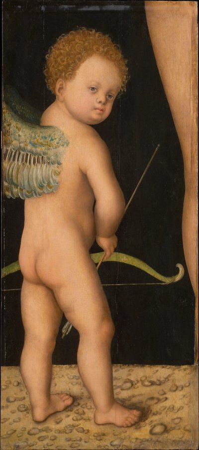 Amore da Lucas the Elder Cranach