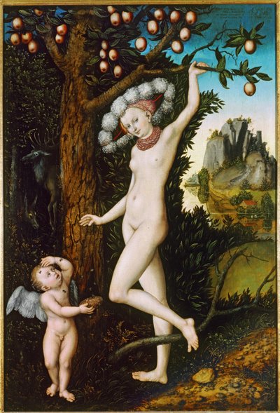 Cupido che si lamenta con Venere ... (dipinto su tavola) da Lucas the Elder Cranach