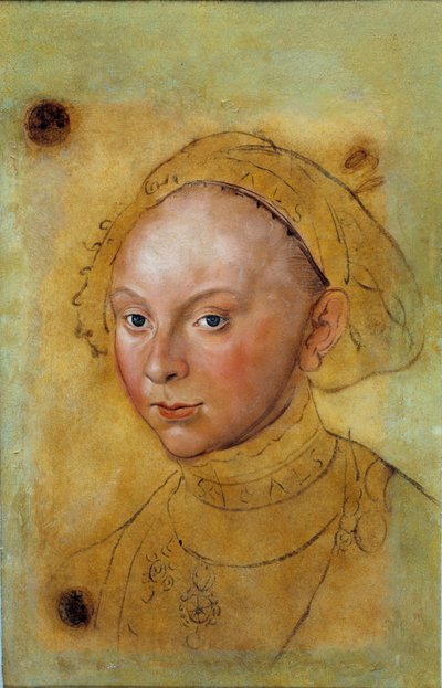 Ritratto di Caterina di Brunswick Grubenhagen da Lucas the Elder Cranach