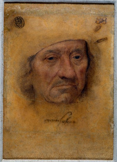 Ritratto del dottor Petrus von Clapis da Lucas the Elder Cranach