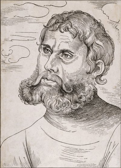 Ritratto di Martin Lutero come 