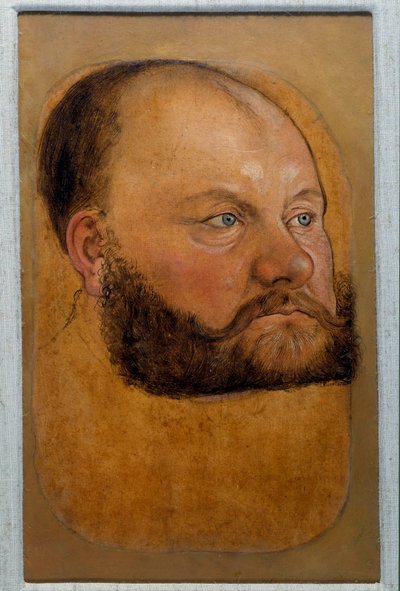 Ritratto del principe Wolf Anhalt di Sassonia, principe della Riforma da Lucas the Elder Cranach