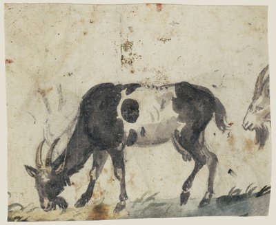 Studio di capre (verso), c.1520-30 da Lucas the Elder Cranach