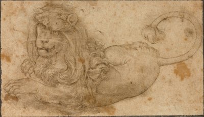 Studio di un leone da Lucas the Elder Cranach