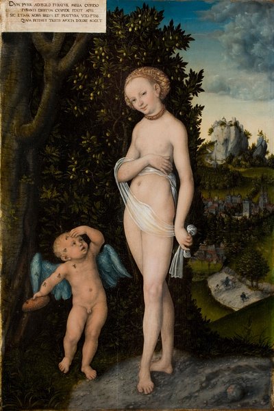 Venere con Cupido che Ruba il Miele da Lucas the Elder Cranach