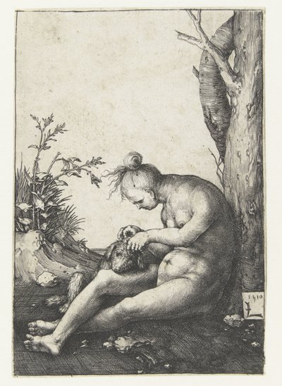 Donna nuda con cane da Lucas van Leyden
